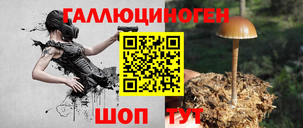 Псилоцибиновые грибы Cubensis  Вход с VPN  Псилоцибиновые грибы Magic Shrooms  Чита 